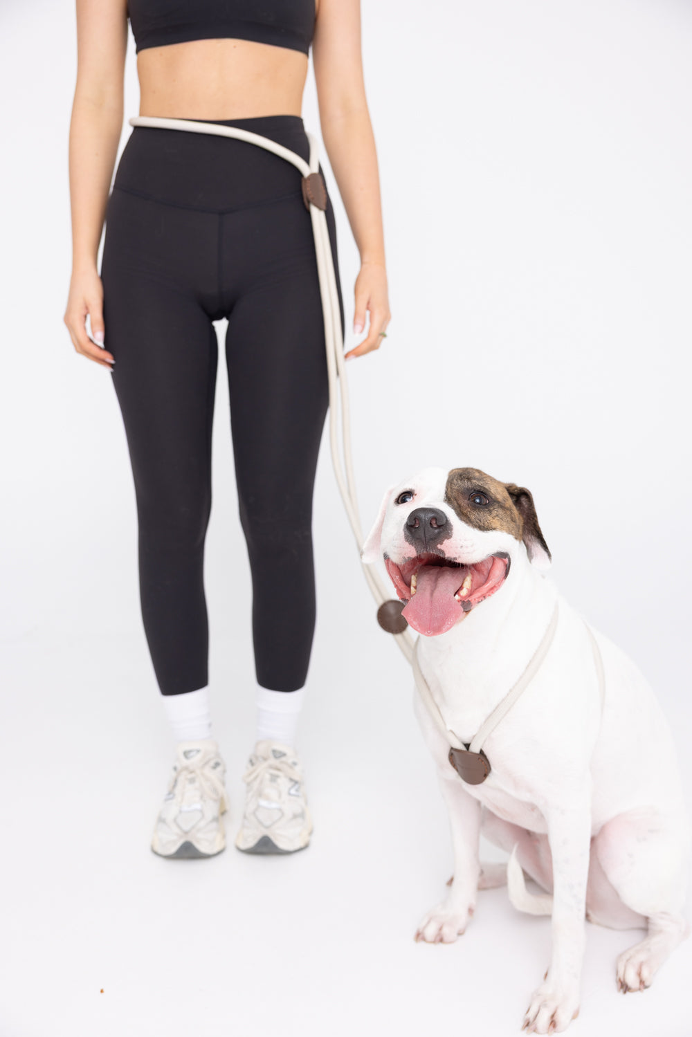 The Collie 5-in-1 Ultimate Dog Leash - White