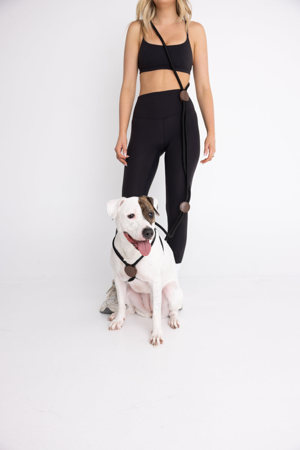 The Collie 5-in-1 Ultimate Dog Leash - Black