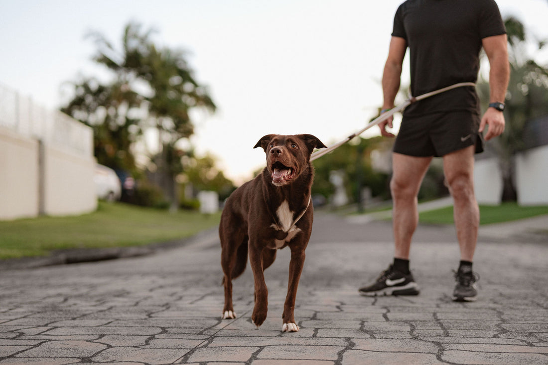 slider image 1621243260e1af0c20-0