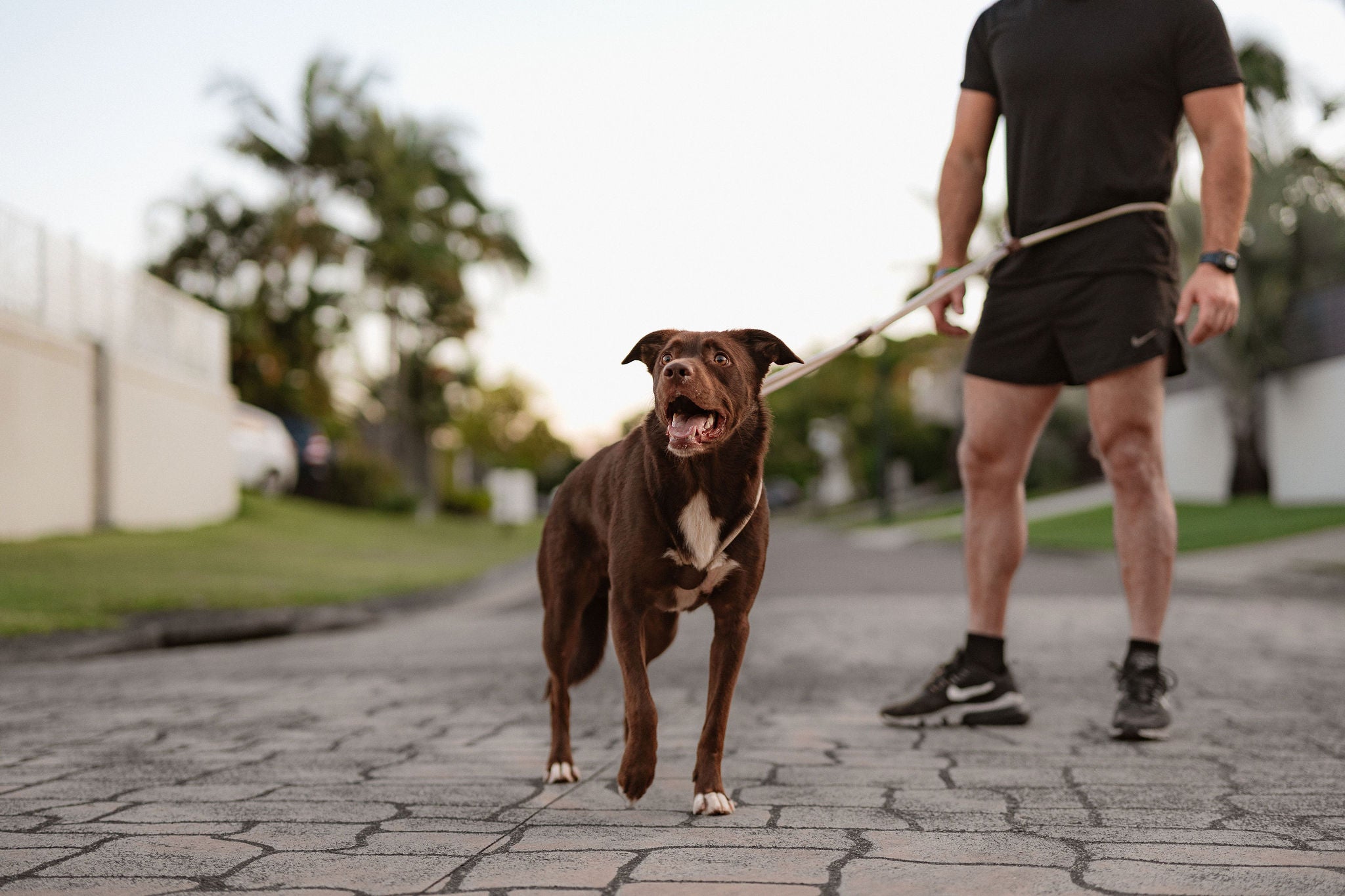 slider image 1621243260e1af0c20-0